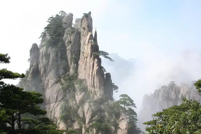 A jagged granite peak dotted with pine trees rises out of drifting mist on Huangshan, framed by pine branches in the foreground.