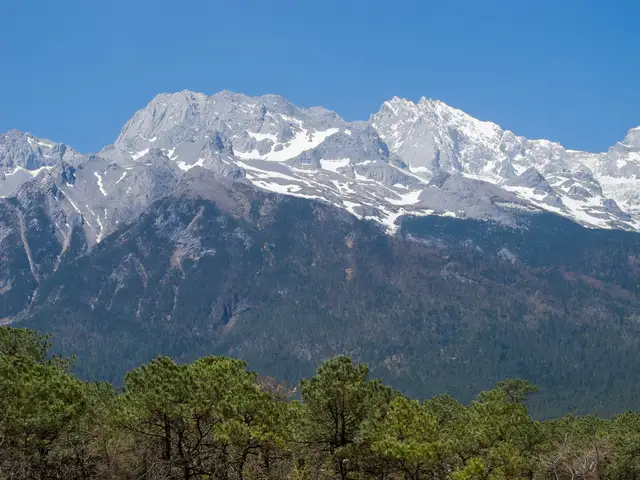 The snow-covered ridge of Jade Dragon Snow Mountain under a clear blue sky, with pine forest in the foreground.